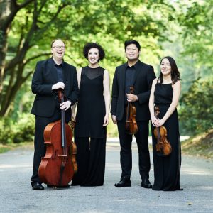Image from the Verona Quartet